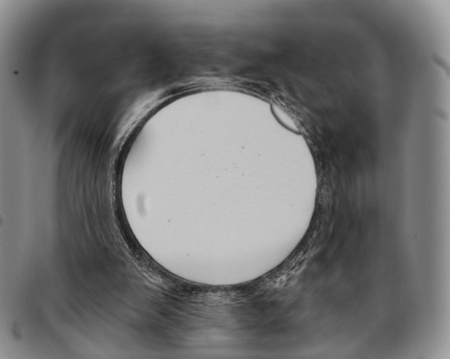 X0000096710103200803041349