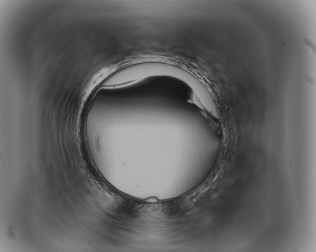 X0000096710104200803041349