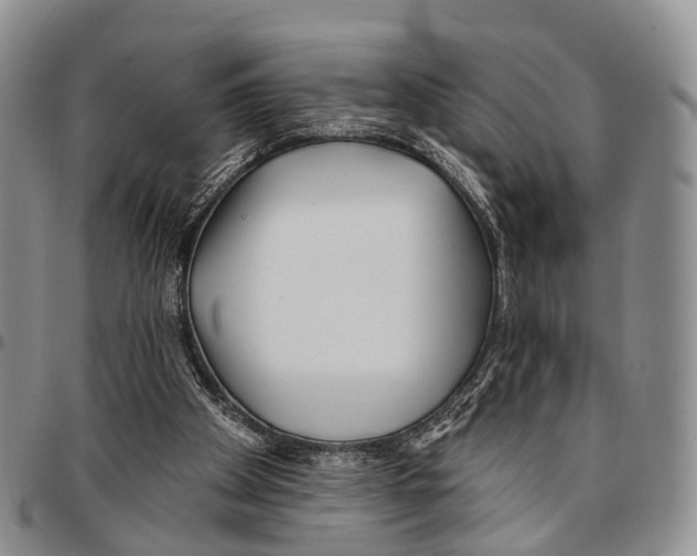 X0000096710105200803041349