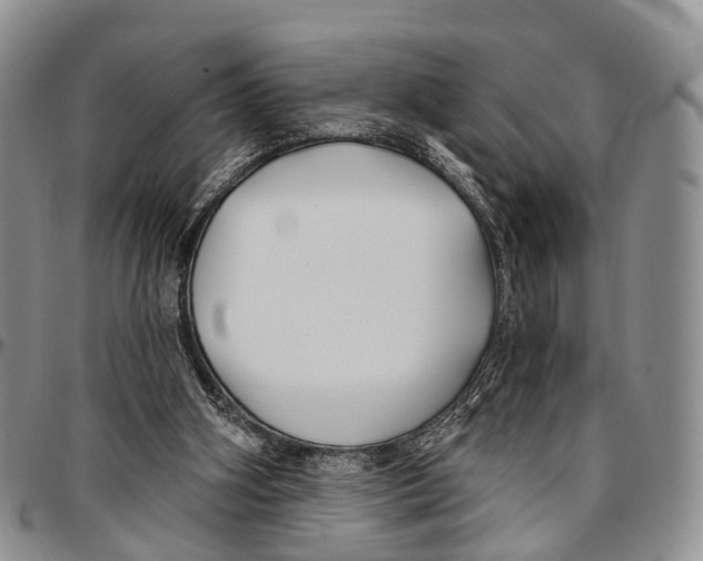 X0000096710106200803041349