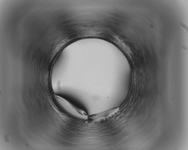 X0000096710107200803041349