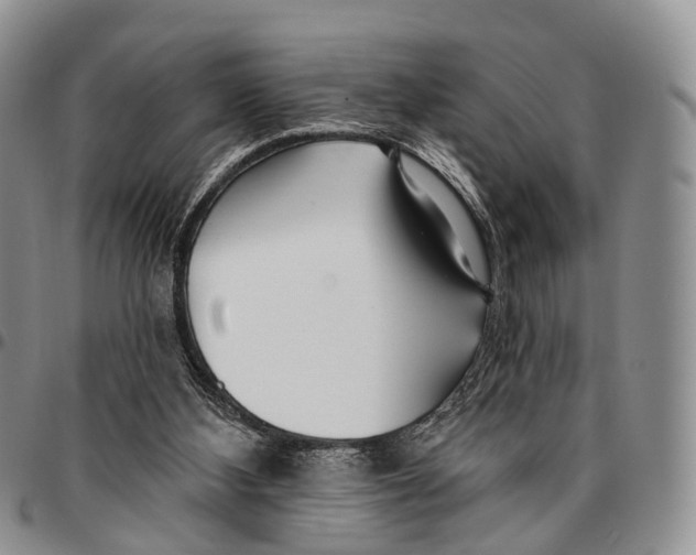 X0000096710108200803041349