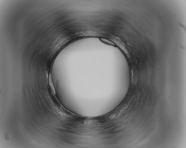 X0000096710109200803041349