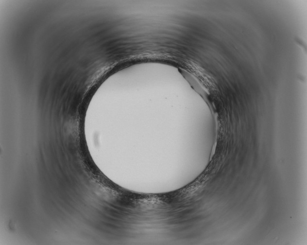 X0000096710112200803041349