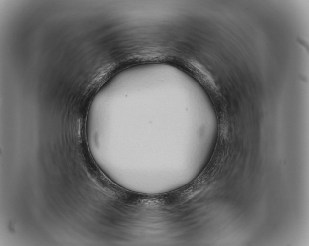 X0000096710115200803041349