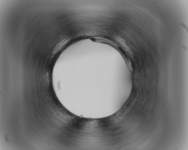 X0000096710116200803041349