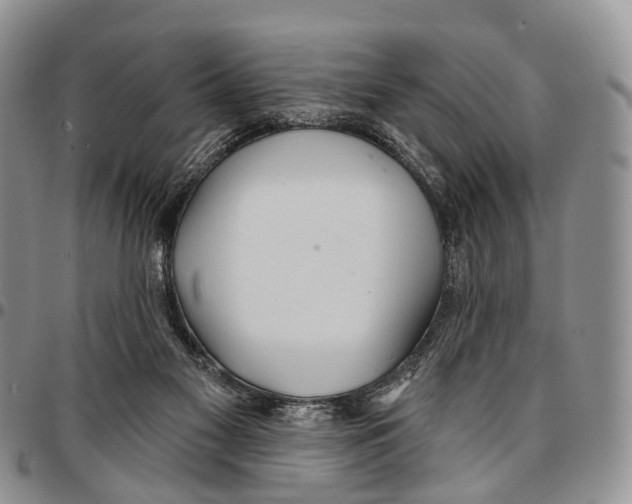 X0000096710117200803041349