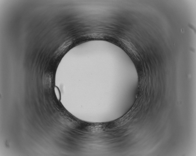 X0000096710120200803041349