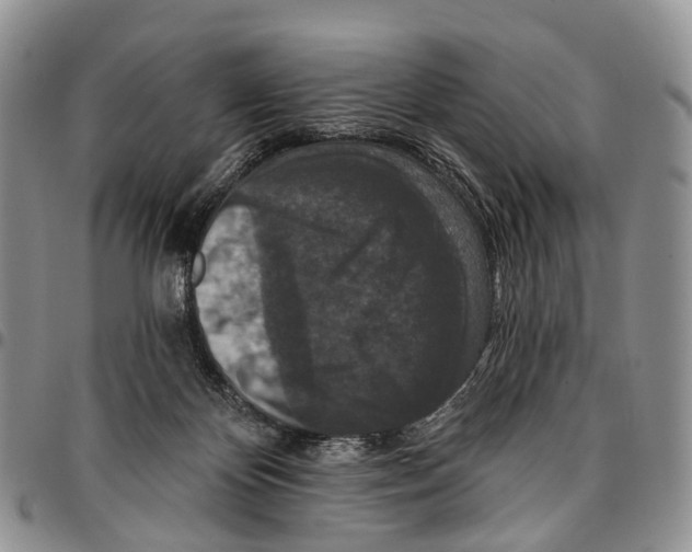 X0000096710124200803041349