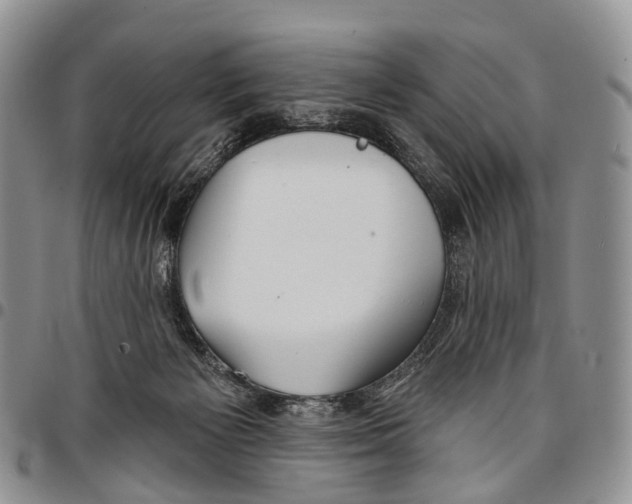 X0000096710125200803041349