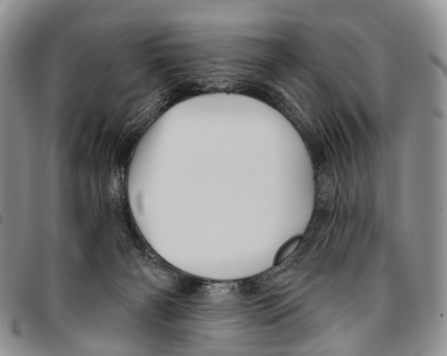 X0000096710126200803041349