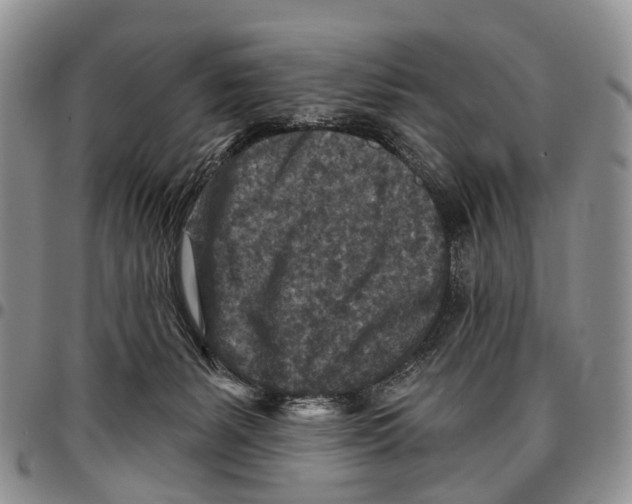 X0000096710127200803041349