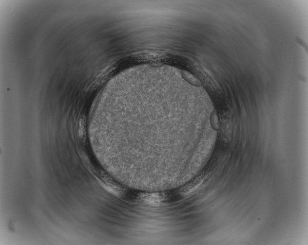 X0000096710131200803041349