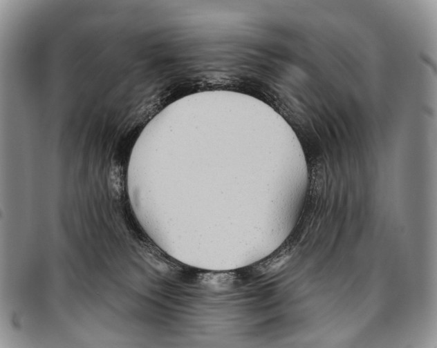 X0000096710135200803041349