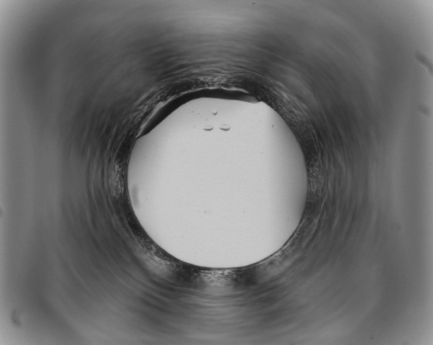 X0000096710136200803041349