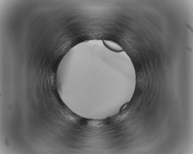 X0000096710139200803041349