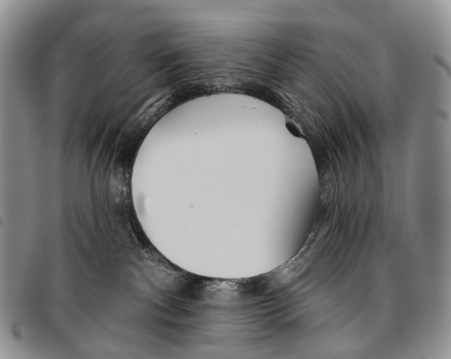 X0000096710140200803041349