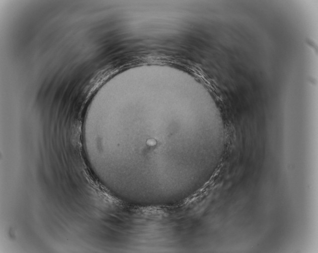 X0000096710146200803041348