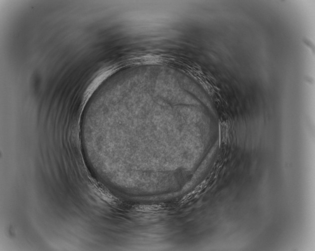 X0000096710147200803041348