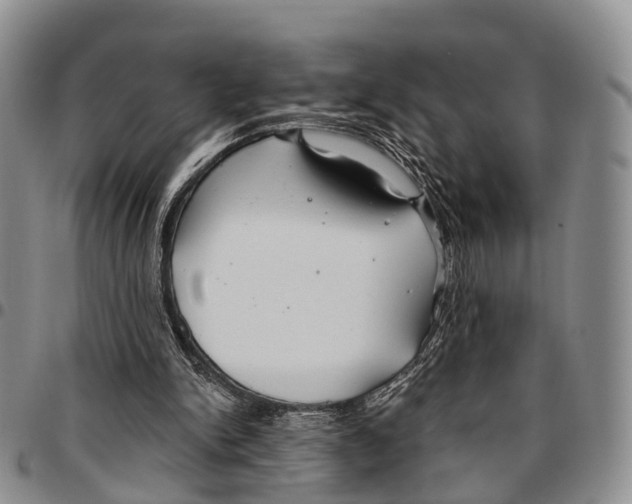 X0000096710150200803041348