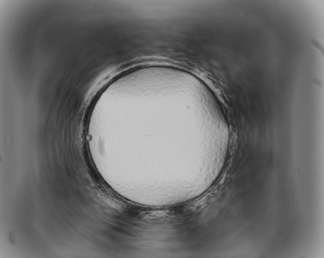 X0000096710151200803041348