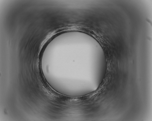 X0000096710152200803041348