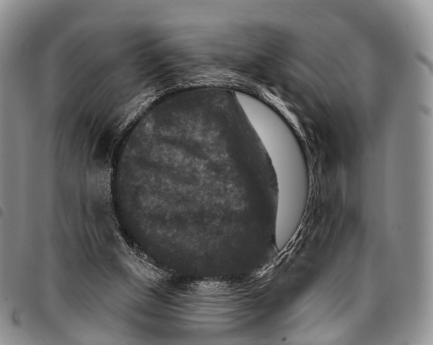 X0000096710154200803041348