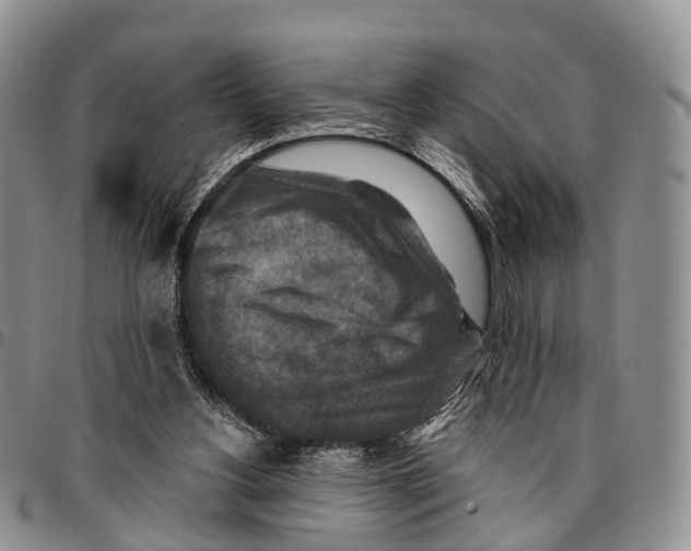 X0000096710156200803041348