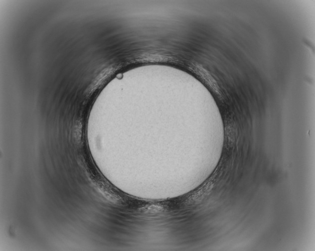 X0000096710159200803041348