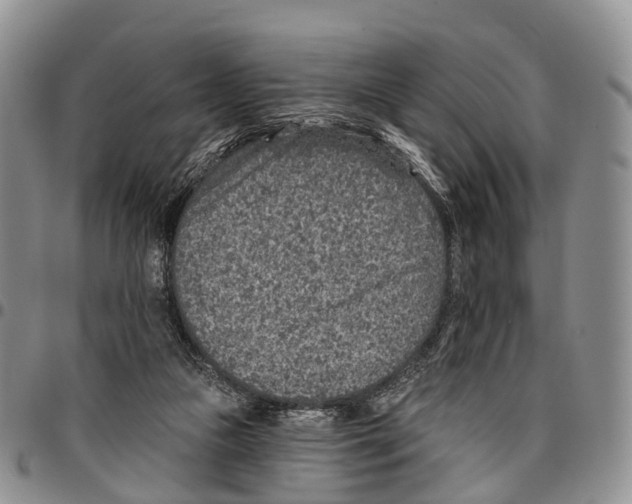 X0000096710161200803041348