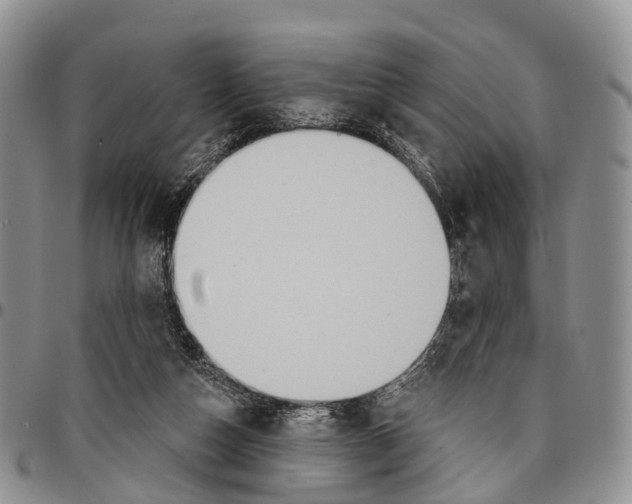 X0000096710162200803041348