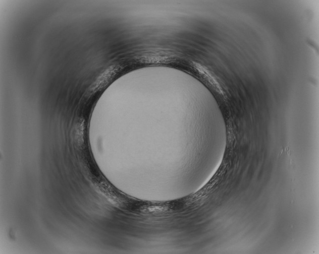 X0000096710163200803041348