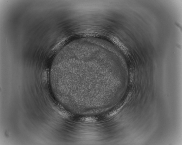 X0000096710165200803041348