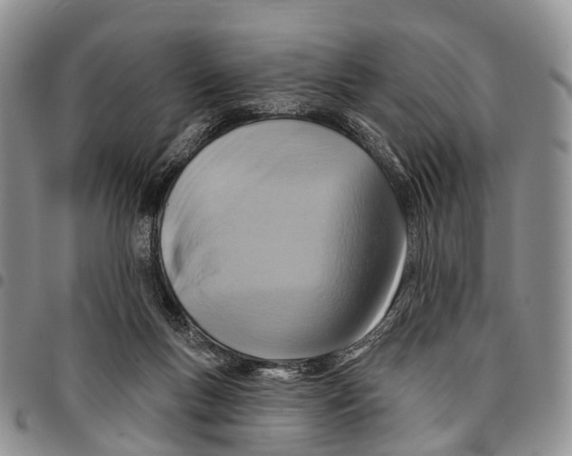 X0000096710167200803041348