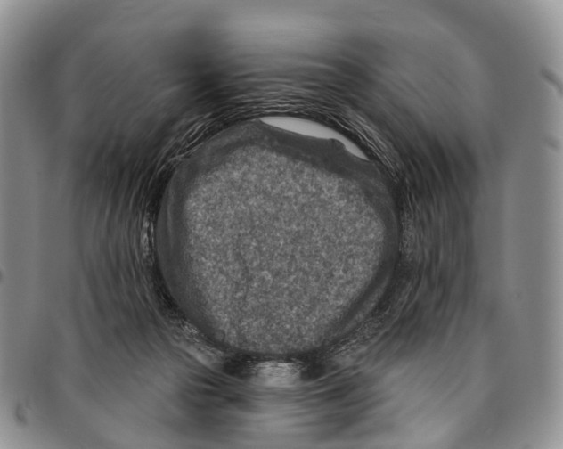 X0000096710169200803041348