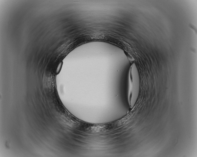 X0000096710172200803041348