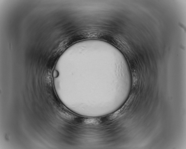 X0000096710175200803041348