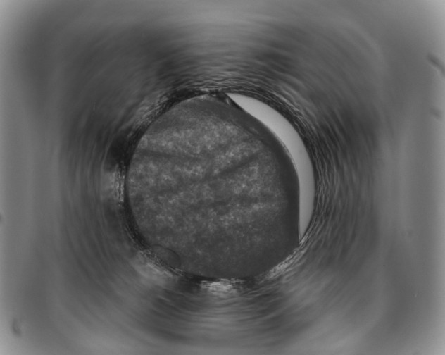 X0000096710180200803041349