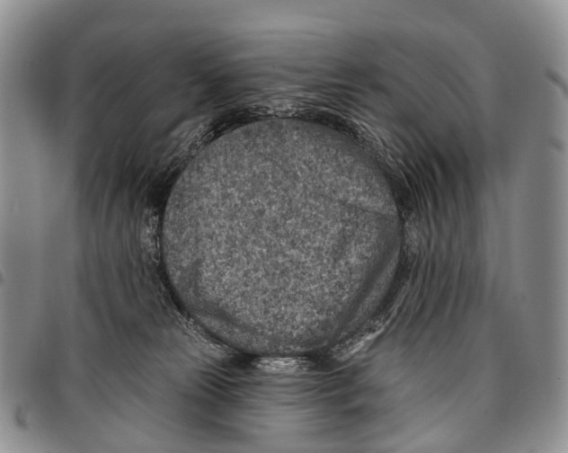 X0000096710181200803041349