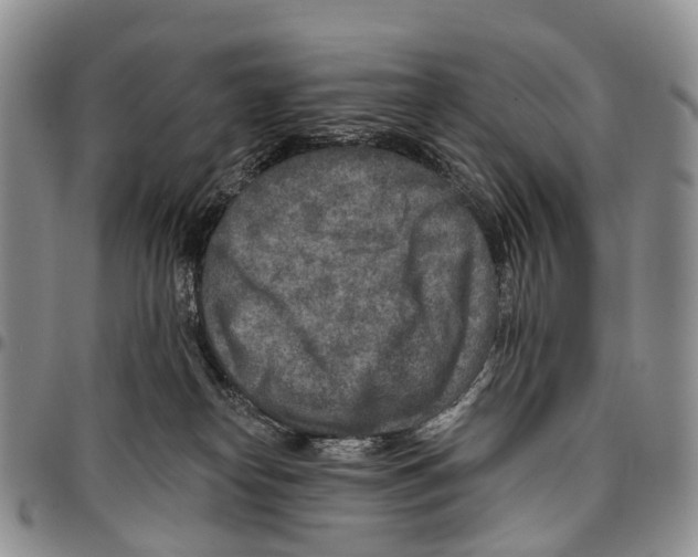 X0000096710182200803041349