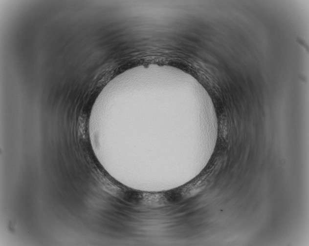 X0000096710185200803041349