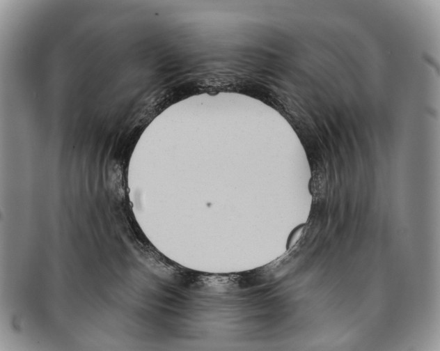 X0000096710187200803041349