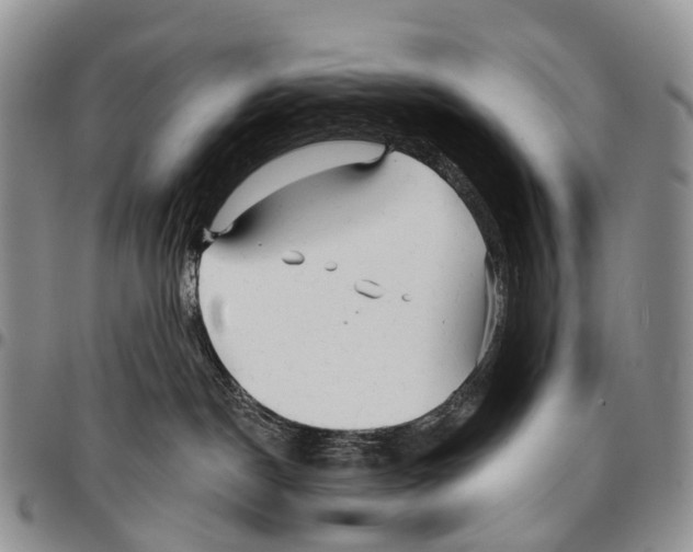 X0000096710190200803041349