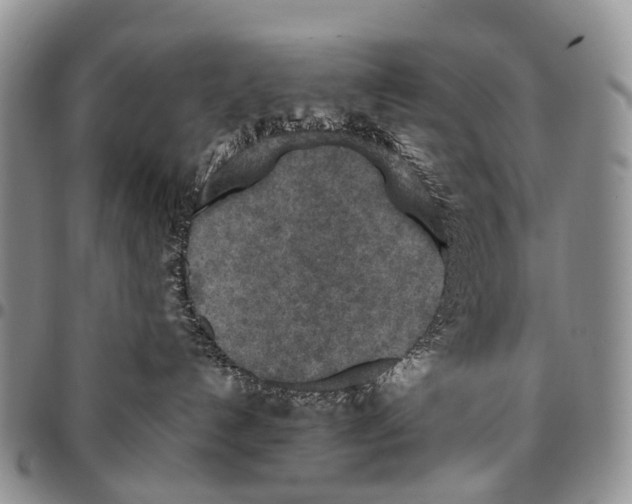 X0000096710192200803041349