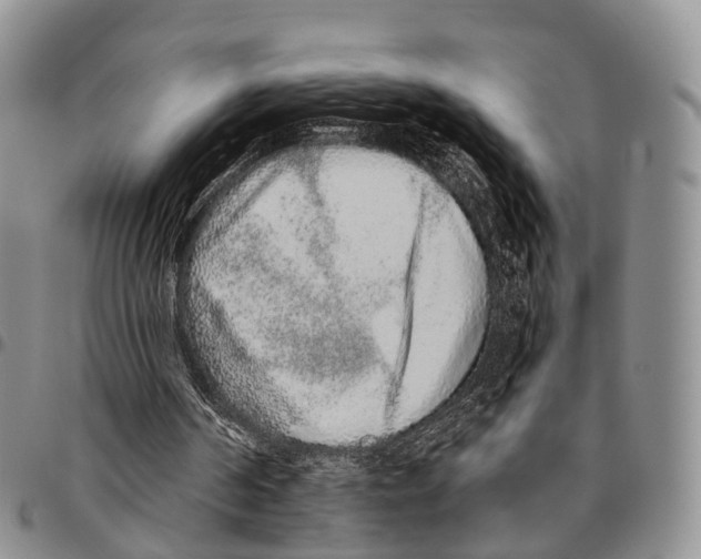 X0000096710194200803041348