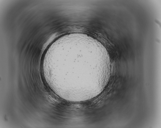 X0000096710195200803041348