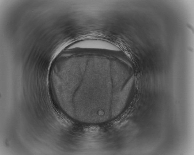 X0000096710196200803041348