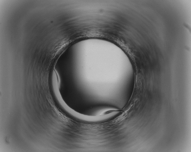 X0000096710201200803041348