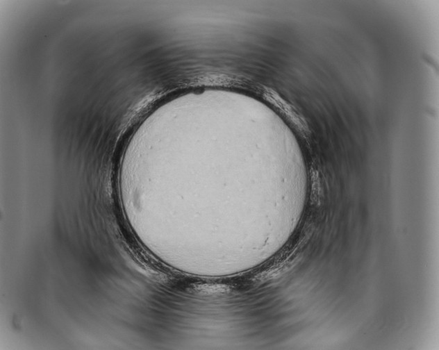 X0000096710203200803041348