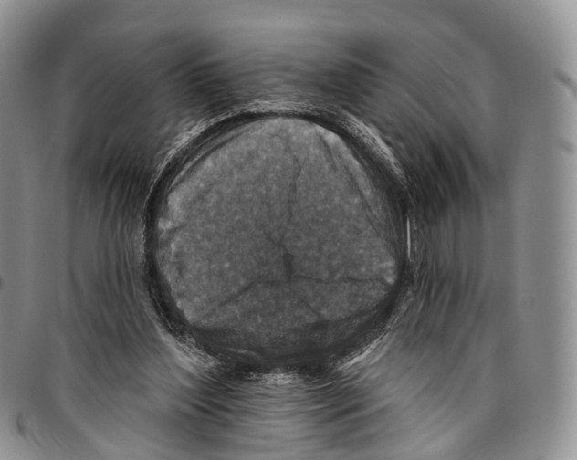 X0000096710204200803041348